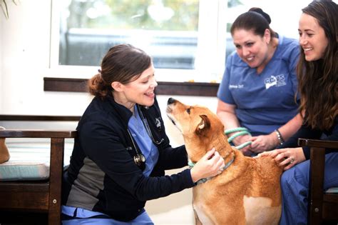 Cape cod veterinary specialists - Cape Cod Veterinary Specialists is looking for a Veterinary Criticalist with board certification or residency training to join our team of specialists and associates. About …